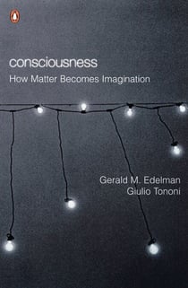 Consciousness - How Matter Becomes Imagination