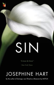 Sin - By the author of DAMAGE, inspiration for the Netflix series OBSESSION