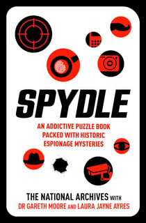 Spydle - The latest puzzling phenomenon which promises to perplex and delight