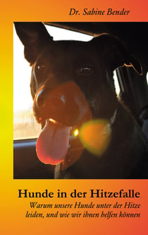 Hunde in der Hitzefalle - Warum unsere Hunde unter der Hitze leiden, und wie wir ihnen helfen können