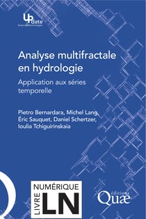 Analyse multifractale en hydrologie - Applications aux séries temporelles