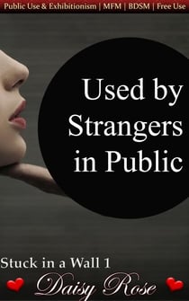 Used by Strangers in Public - Stuck in a Wall