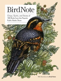 BirdNote - 100 Illustrated Bird Stories to Inspire Your Bird Watching
