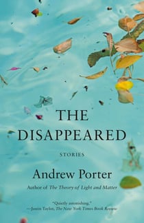 The Disappeared - Stories