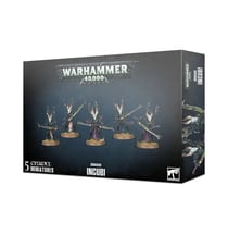 Drukhari Incubi - Warhammer 40,000