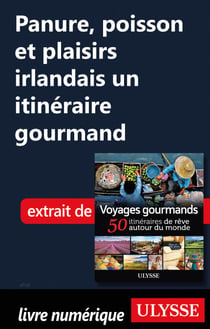 Panure, poisson et plaisirs irlandais - Un itinéraire gourmand
