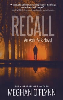 Recall: A Gritty Hardboiled Crime Thriller - Ash Park, #7