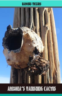 Arizona’s Vanishing Cactus
