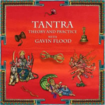 Tantra: Theory and Practice with Professor Gavin Flood - Hindu Scholars, #1