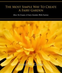 The Most Simple Way to Create a Fairy Garden