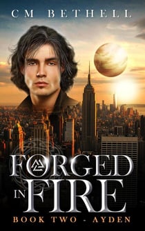 Forged In Fire   Book Two - Ayden - The Guardian Series, #2
