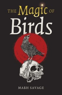 The Magic of Birds