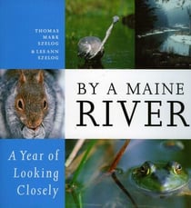 By a Maine River - A Year of Looking Closely