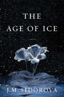 The Age of Ice - A Novel