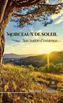 Morceaux de soleil - Suscitation d’existence