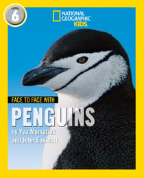 Face to Face with Penguins - Level 6