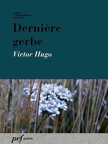 Dernière gerbe