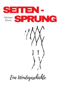 Seitensprung - Eine Wendegeschichte