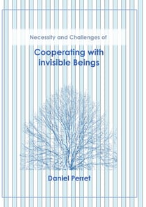 Cooperating with invisible Beings - necessity and challenges