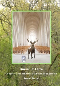 Guérir la Terre - Une coopération avec les forces subtiles de la planète
