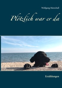 Plötzlich war er da - Erzählungen