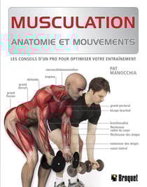 Musculation - Anatomie et mouvements