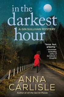 In the Darkest Hour - A Gin Sullivan Mystery
