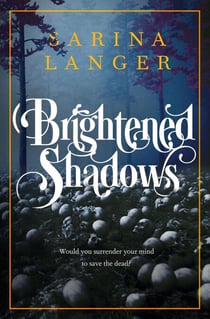 Brightened Shadows - Darkened Light, #2