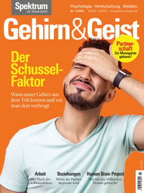 Gehirn&Geist 11/2023 Der Schussel-Faktor - Wann unser Gehirn aus dem Tritt kommt und wie man dem vorbeugt