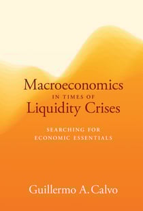 Macroeconomics in Times of Liquidity Crises - Searching for Economic Essentials