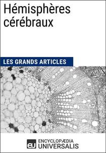 Hémisphères cérébraux - Les Grands Articles d'Universalis