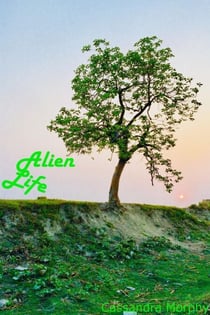 Alien Life - The Delnadian Invasion, #1
