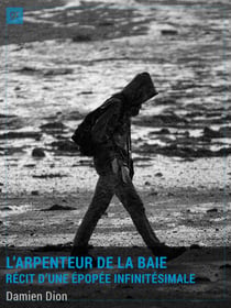 L'Arpenteur de la Baie - Récit d'une épopée infinitésimale