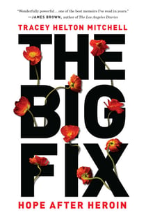 The Big Fix - Hope After Heroin