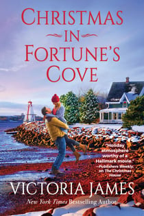 Christmas in Fortune's Cove - A Novel