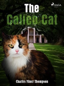 The Calico Cat