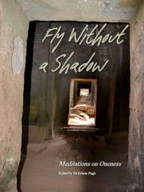 Fly Without A Shadow - Meditations on Oneness