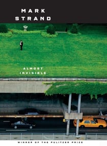 Almost Invisible - Poems