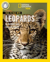 Face to Face with Leopards - Level 6