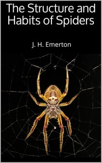 The Structure and Habits of Spiders
