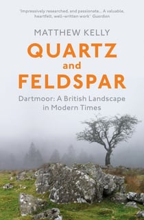 Quartz and Feldspar - Dartmoor - A British Landscape in Modern Times