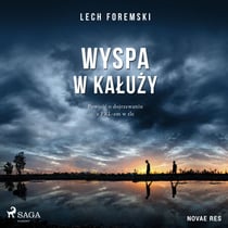 Wyspa w kaluzy