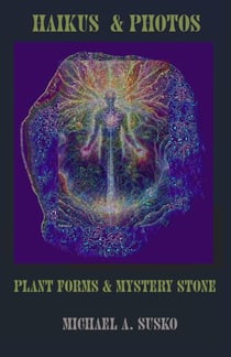 Haikus and Photos: Plant Forms and Mystery Stone - Shenandoan Stone: Haikus & Photos, #5
