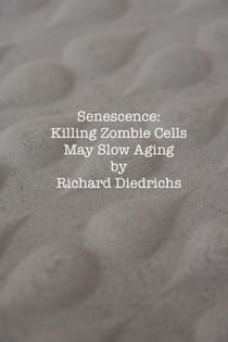 Senescence: Killing Zombie Cells May Slow Aging