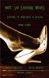 Not So Loving Wives - Not So Loving Wives, #3
