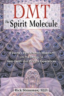 DMT: The Spirit Molecule - A Doctor's Revolutionary Research into the Biology of Near-Death and Mystical Experiences