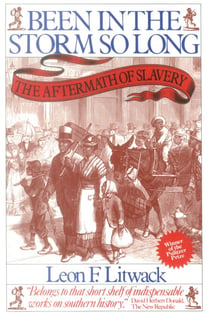 Been in the Storm So Long (Pulitzer Prize Winner) - The Aftermath of Slavery