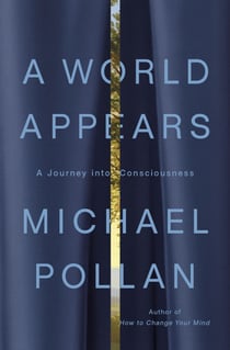 A World Appears - A Journey into Consciousness