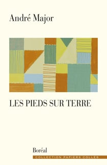 Les Pieds sur terre - Carnets 2004-2007
