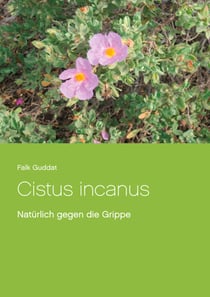 Cistus incanus - Natürlich gegen die Grippe